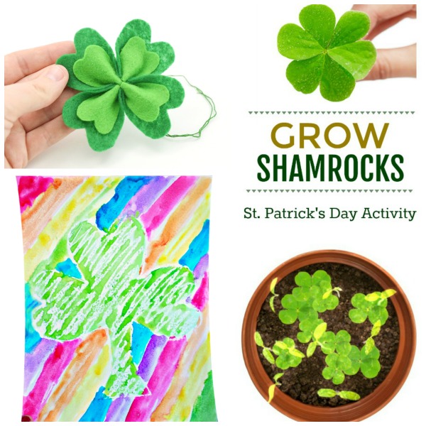 35 SHAMROCK CRAFTS FOR KIDS: tons of great ideas perfect for St. Patrick's Day!  #stpatricksdaycrafts #stpatricksday #shamrocks #kidsactivities 