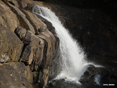 Thommankuthu Waterfall
