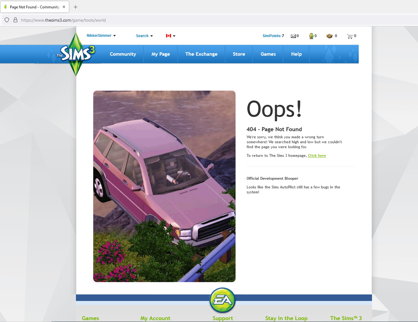 whatsgoingonwithsims3store.jpg