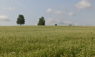 20140714_073319