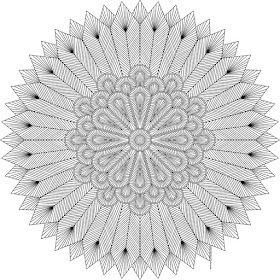 Feathers coloring page for adults- blank available in jpg and transparent png #coloring #mandala 