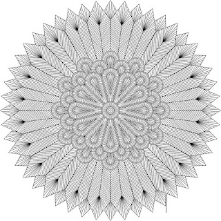 Feathers coloring page for adults- blank available in jpg and transparent png #coloring #mandala 