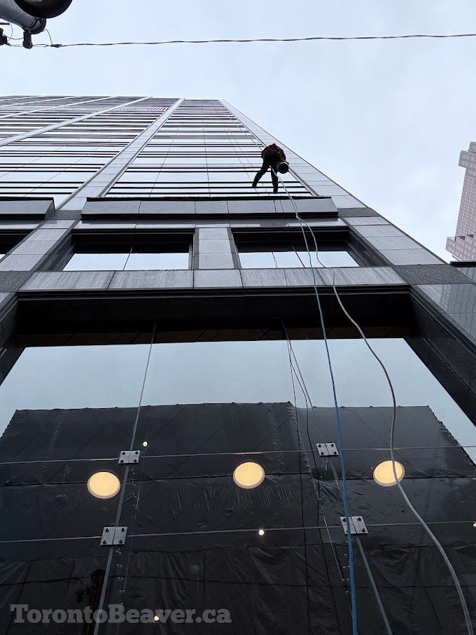 Human Skyscraper Window Washer At 1 Adelaide... A Beaver's Perspective