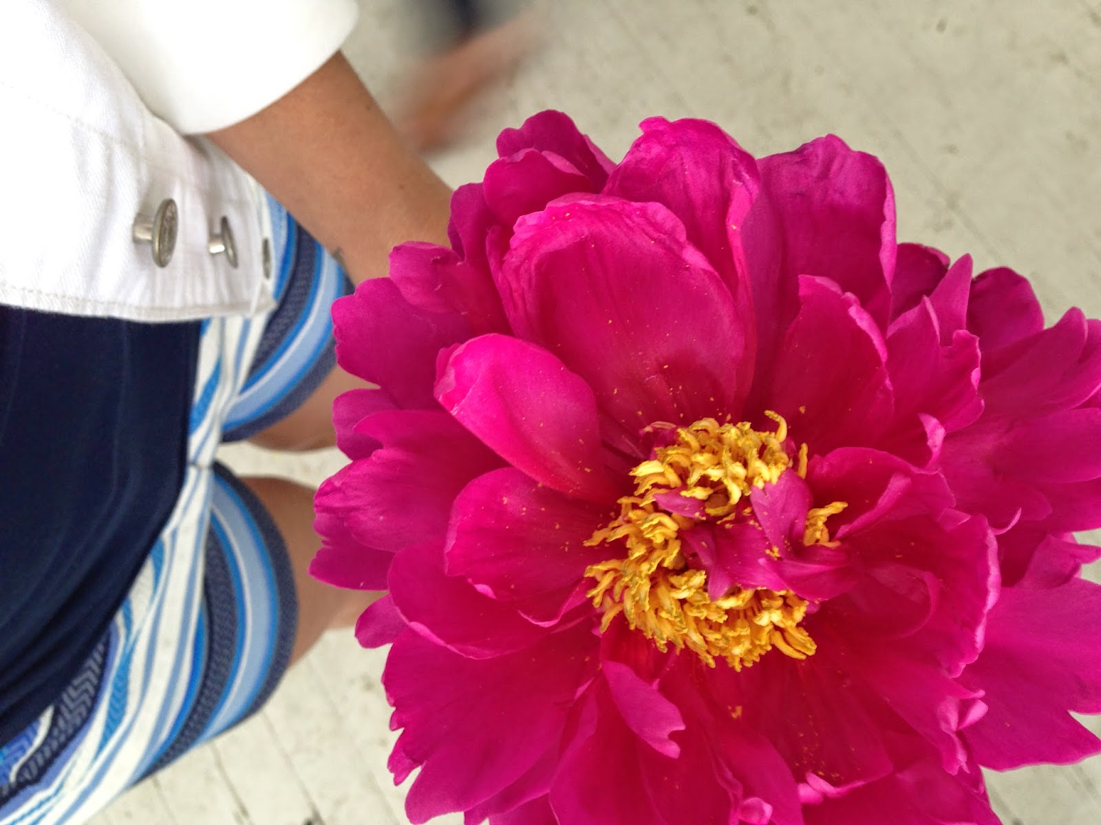 greige design flower arranging