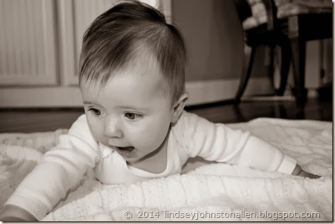 IMG_0952 (2) (800x533)