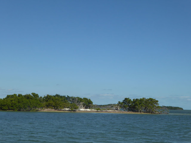 john pennekamp coral reef park