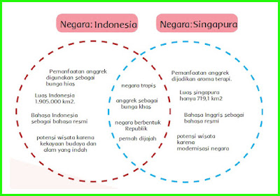 kunci jawaban kelas 6 tema 1 subtema 1 pembelajaran 1 halaman 14