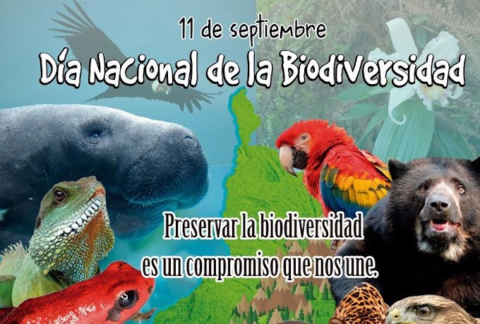 11 de septiembre, Día Nacional de la Biodiversidad: En Santander hay 13 especies de flora y 12 de fauna priorizados para su conservación