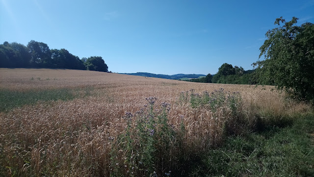 Sauerland wandern Wetter blog Meschede Hennesee Homert