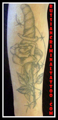 rose-and-knife-tattoo