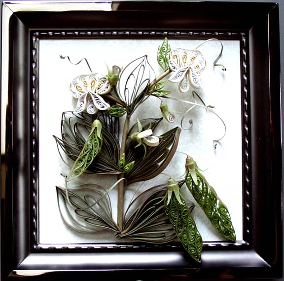 quilled pea plant in sqaure, shiny metal frame