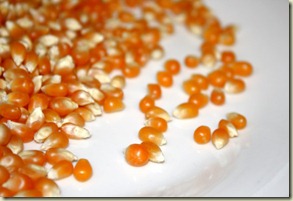 popcorn-kernels-600x400