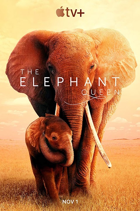 الملكة الفيل The Elephant Queen (2019)