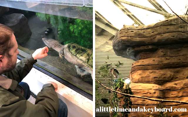 Visiting with wildlife at Great Lakes Aquarium in Duluth, Minnesota