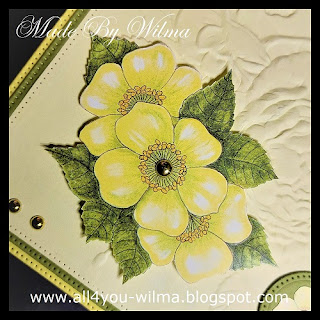 Felicitatie, Congrats, Congratulations, Geel, Yellow, Green, Bloemen, Flowers, Parels, Pearls, Nel van Veen, Papicolor, Crealies, All4You, ALL4YOU,