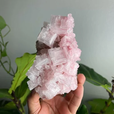hopper Pink Halite crystals