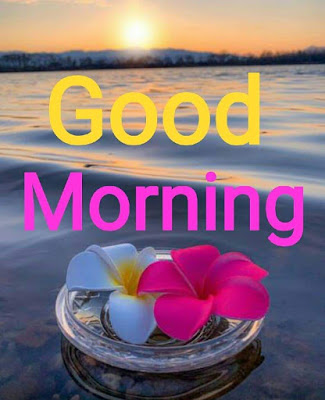 60+ Good morning wishes images for Fb Dpz whatsapp Status Free