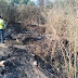 CEPC EMITE RECOMENDACIONES PARA PREVENIR INCENDIOS FORESTALES