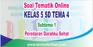  Peredaran Darahku Sehat dan Kunci Jawaban Download Soal Tematik Kelas 5 SD Tema 4 Subtema 1 Peredaran Darahku Sehat dan Kunci Jawaban