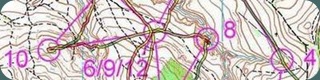 карта соревнований ЛЧУ длинная дистанция