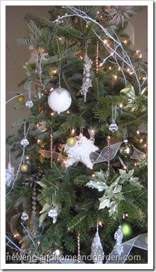 Blog photos 003