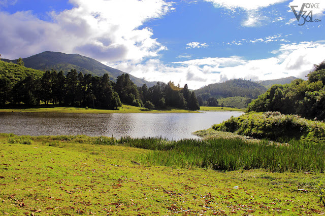 Picturesque spot near TR Bazaar on the Ooty-Gudalur highway