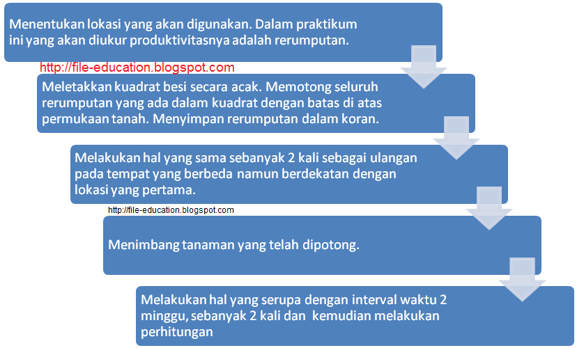 Praktikum Ekologi tumbuhan Produktivitas ~ Alsen Saloka Blog's