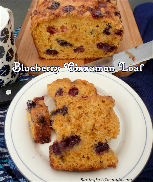 Blueberry Cinnamon Loaf is a quick bread both encrusted and infused with cinnamon, and loaded with plump blueberries. | recipe developed by www.BakingInATornado.com | #recipe #bread