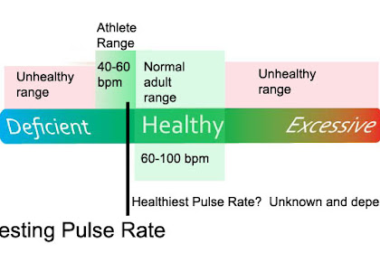 Normal Heart Pulse Rate / Number One Fitness Tool - FREE and All Natural - Your ... / Normal pulse for each his own.