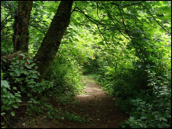 Samish2011-02 110