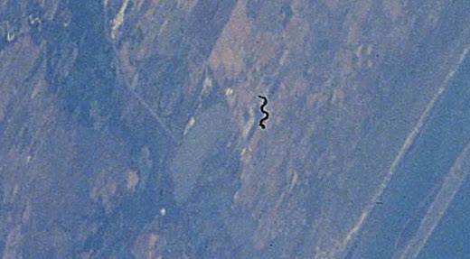 Serpiente voladora en la atmósfera terrestre