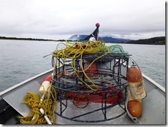 P1000186