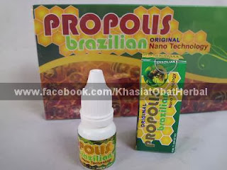 manfaat propolis, khasiat bee propolis