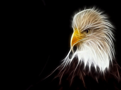 eagle abstract wallpaper - Top Dekstop