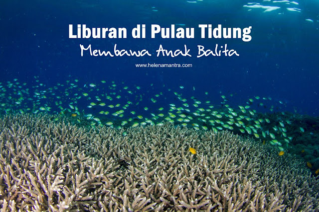 paket wisata pulau tidung 2019