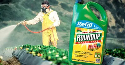 Agora que a Monsanto tem geneticamente modificado plantações para resistir a doses pesadas do produto químico