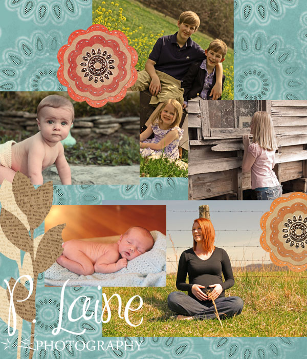 P.Laine Photography