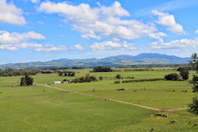 Scenic view of Martinborough