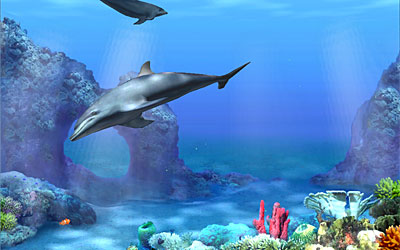 Wallpaper on Fresh Wallpaper   Wallpaper  Fresh Wallpaper   Living 3d Dolphins