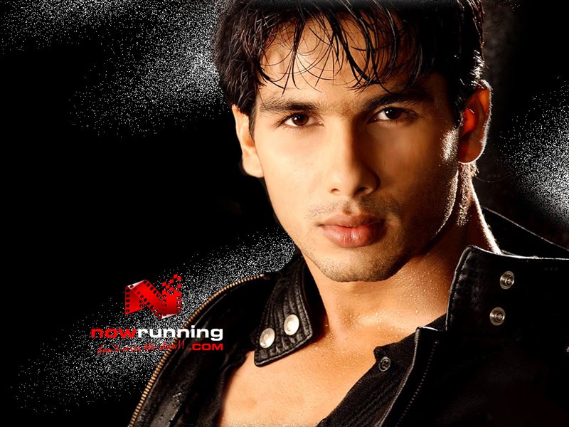 Shahid Kapoor Wallpapers. Shahid Kapoor