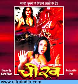 Cheekh 2007 Hindi Movie Watch Online