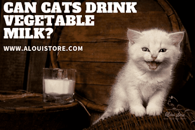 Can cats drink vegetable milk?