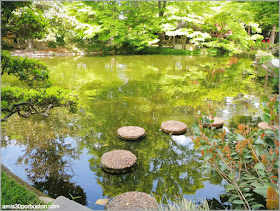 Stepping Stones en el Fort Worth Japanese Garden