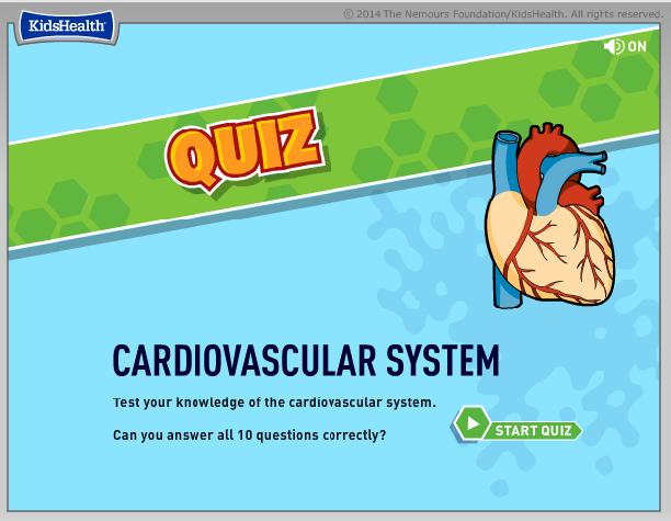  Cardiovascular System Quiz