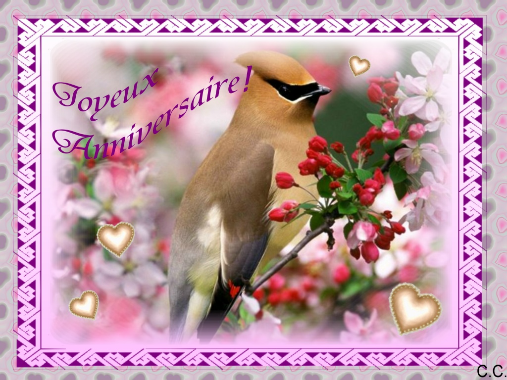 images de bonne anniversaire