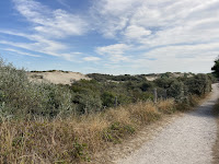 Weg durch die Dünen