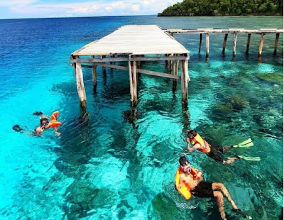  Berenang di Raja Ampat