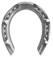 Goodenough patented horseshoe