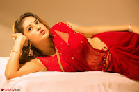 Priyanka Jawalkar in ethnic wear stunning portfolio cute Beauty ~  Exclusive Celebrities Galleries 017.jpg