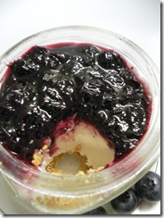 blueberry cheesecake 10